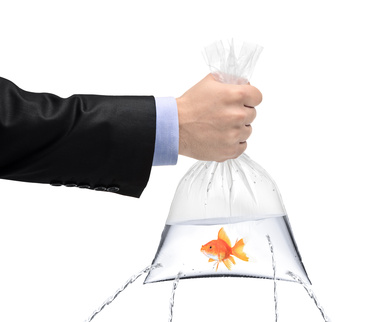 A hand holding a golden fish in a plastic bag with holes, being filled, but the water is leaking out the holes isolated on white background